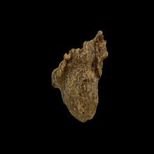 Load image into Gallery viewer, Agarwood Hanging Cliff (吊口) - 55.75g