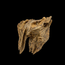 Load image into Gallery viewer, Agarwood Hanging Cliff (吊口) - 63.01g
