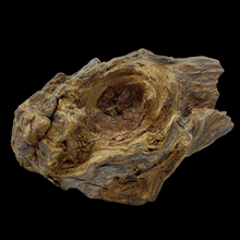 Load image into Gallery viewer, Agarwood Hanging Cliff (吊口) - 63.01g
