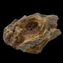 Load image into Gallery viewer, Agarwood Hanging Cliff (吊口) - 63.01g