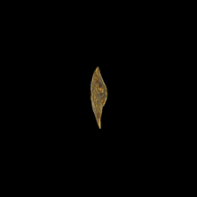 Load image into Gallery viewer, Kyara Worm Wand (奇楠虫漏) - 0.96g