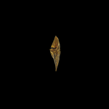Load image into Gallery viewer, Kyara Worm Wand (奇楠虫漏) - 0.96g