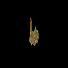 Load image into Gallery viewer, Kyara Worm Wand (奇楠虫漏) - 1.02g