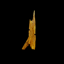 Load image into Gallery viewer, Kyara Worm Wand (奇楠虫漏) - 6.34g