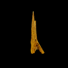 Load image into Gallery viewer, Kyara Worm Wand (奇楠虫漏) - 6.34g