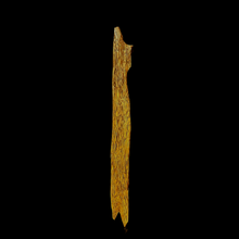 Load image into Gallery viewer, Kyara Worm Wand (奇楠虫漏) - 9.19g