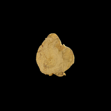 Load image into Gallery viewer, Yellow Kyara Pendant - 4.36g