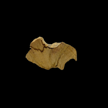 Load image into Gallery viewer, Yellow Kyara Pendant - 6.20g