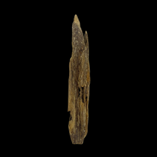 Load image into Gallery viewer, Agarwood Worm Wand (虫漏) - 17.56g