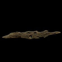 Load image into Gallery viewer, Agarwood Worm Wand (虫漏) - 17.71g