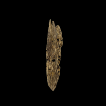 Load image into Gallery viewer, Agarwood Worm Wand (虫漏) - 18.27g