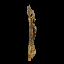 Load image into Gallery viewer, Agarwood Worm Wand (虫漏) - 22.42g