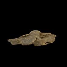 Load image into Gallery viewer, Agarwood Worm Wand (虫漏) - 23.11g