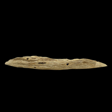 Load image into Gallery viewer, Agarwood Worm Wand (虫漏) - 38.45g