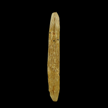 Load image into Gallery viewer, Agarwood Worm Wand (虫漏) - 38.45g