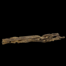 Load image into Gallery viewer, Agarwood Worm Wand (虫漏) - 42.68g