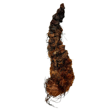 Load image into Gallery viewer, Lalita Root of Wealth
