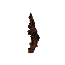 Load image into Gallery viewer, Lalita Root of Wealth
