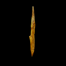 Load image into Gallery viewer, Kyara Worm Wand (奇楠虫漏) - 5.13g
