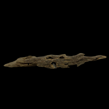 Load image into Gallery viewer, Agarwood Worm Wand (虫漏) - 17.71g

