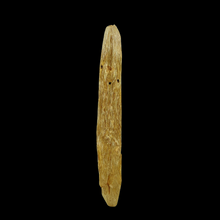 Load image into Gallery viewer, Agarwood Worm Wand (虫漏) - 38.45g
