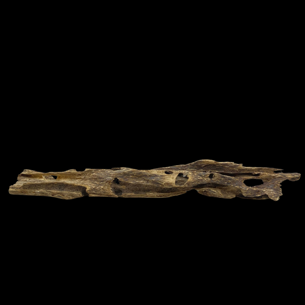 Agarwood Worm Wand (虫漏) - 42.68g