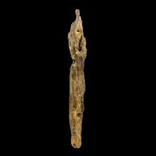 Load image into Gallery viewer, Agarwood Worm Wand (虫漏) - 42.68g
